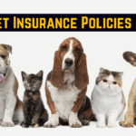 Best Pet Insurance Policies in India
