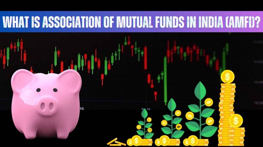 What is Association of Mutual Funds in India (AMFI)